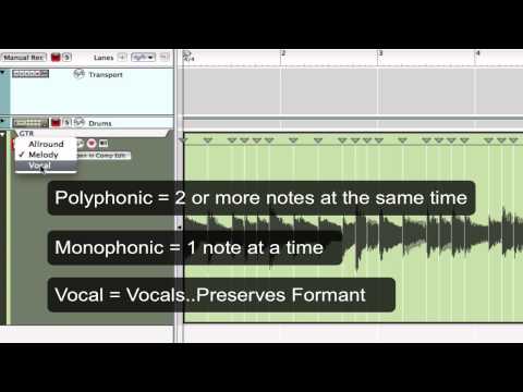 Reason 7 - Audio Quantizing & REX Loops