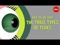 Why do we cry? The three types of tears - Alex ...