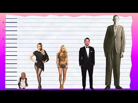 download lagu mp3 mp4 Kate Hudson Height, download lagu Kate Hudson Height gratis, unduh video klip Kate Hudson Height