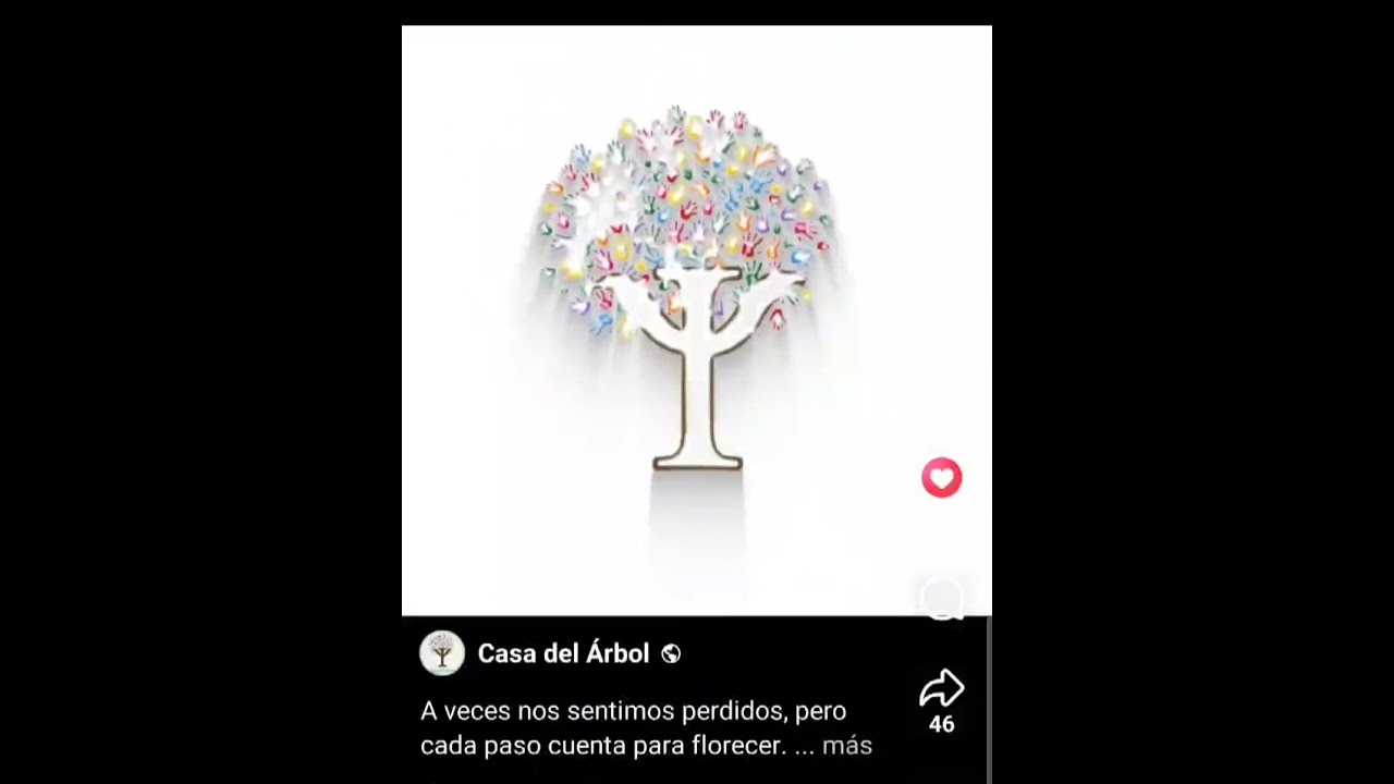 Cecilia García  Cruz-49