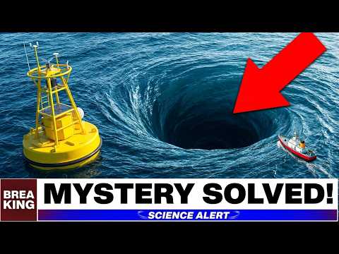 Marine Biologists Solved the Bermuda Triangle — What They Found Was Unexpected