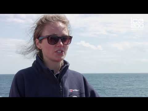 Bell Rock Lighthouse: A Marvel of 19th-Century Engineering | SoundHeal