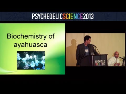 アディクションの治療におけるアヤワスカの作用機序 - ミッチ・リーズター＆ジェームズ・プリケット (Ayahuasca's Mechanisms of Action in the Treatment of Addictions - Mitch Liester & James Prickett)