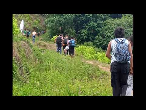 Cúcuta y Ocaña enfrentan crisis humanitaria por enfrentamientos entre grupos armad // Noticias.lat