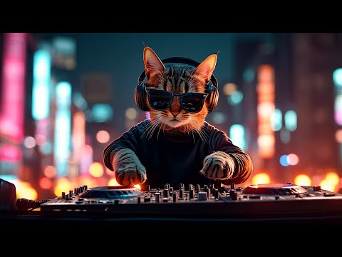 EP03 🌍 Tech House in Tokyo – Neon Night City | DJ MIAWW 😎🎧