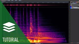 Video thumbnail for How to Eliminate Unwanted Sounds From a Song | SpectraLayers Elements Tutorials by Steinberg