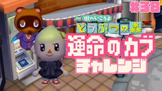 【大ベル持ち】カブ大勝負DAY#38【街へいこうよどうぶつの森】