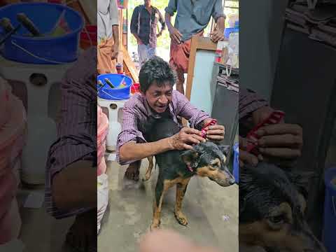 കണ്മണിക്ക് ഒരു ഗിഫ്റ്റ് കിട്ടി