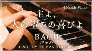Download lagu J.S.Bach:Jesu,Joy of Man's Desiring バッハ:主よ、人の望みの喜びよ mp3