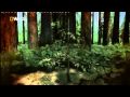 Worlds Tallest Tree - National Geographic Channel - Mike Cooper - British Voiceover Artist