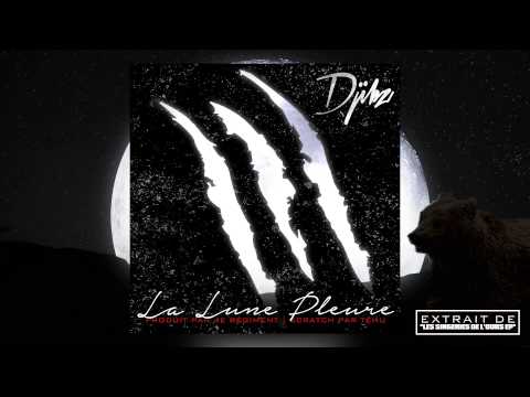 Djibz - La lune pleure  [Son Officiel]