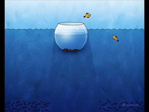 Jaromír Nohavica - Pro Martinu