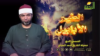 الطير الأبابيل برنامج القصص الحق مع فضيلة الشيخ أحمد الصباغ