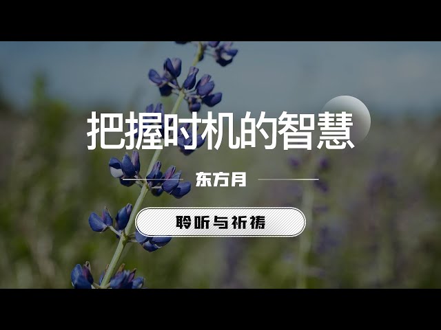 Video Pronunciation of 把握 in Chinese