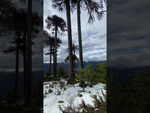 Nieve cordillerana 🇨🇱 #chile #travesia #naturaleza #nature #travel #araucania #collipulli