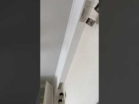 Pop Bianca Florina  - Live