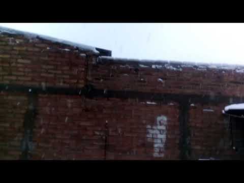 Nieve （*＾3＾）/～♡