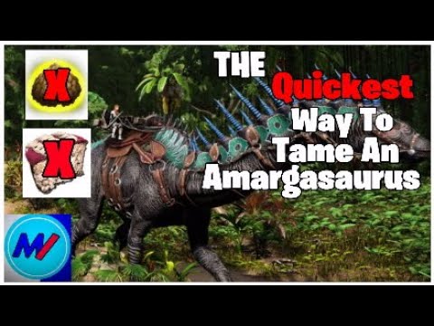 Ark How To Tame An Amargasaurus In 1 Hour With High Effectiveness!