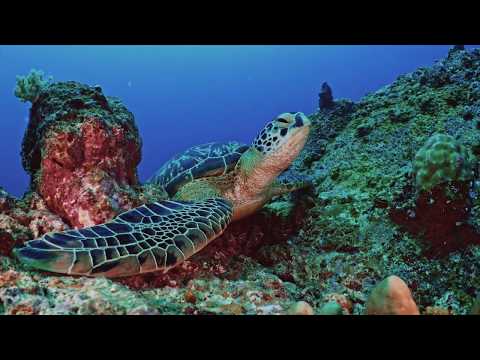 Mauritius tourism promo, BBC feature