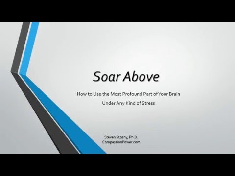 Soar Above: How to Use the Most Profound Part of Your Brain under Any Kind of Stress