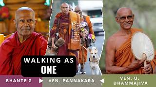 Download lagu Walking As One mp3 Download lagu Walking As One mp3