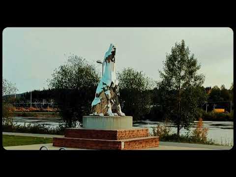 Kongsvinger #2 Travel video #videoart #videography #videomaker