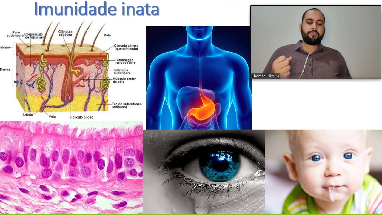 Imunologia - Aula 1 - Introdução e Aspectos gerais da reposta imune