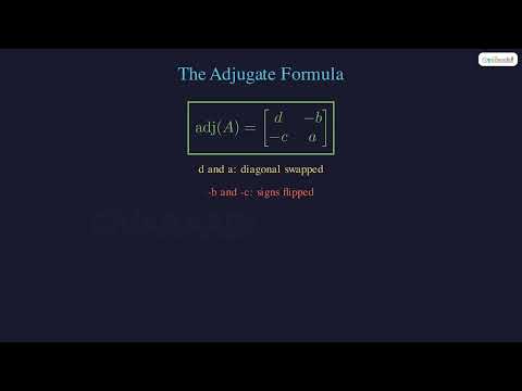 Adjugate (Adjoint) Matrix