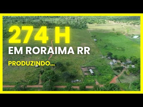 Fazenda em Iracema Roraima