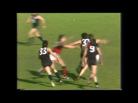 1985 Round 17 - Carlton vs Essendon at Princes Park - Carlton Highlights