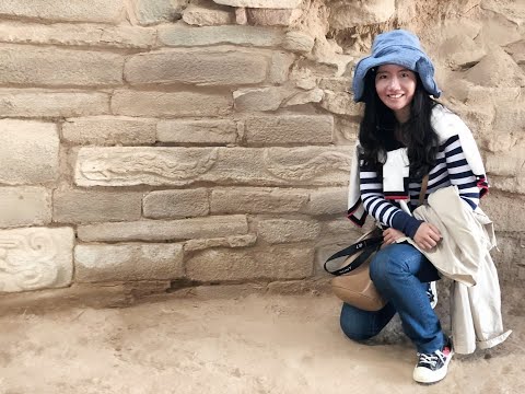 Prof. Li Zhang (Universidade de Zhengzhou, China)