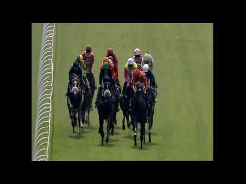 Nimcha Turffontein 9 February 2019