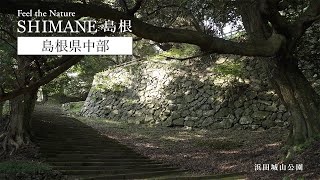 vignettes vidéo