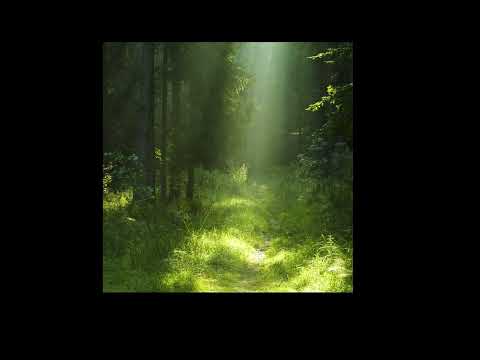 cicada days - will wood (slowed)