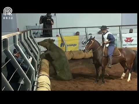 Classificatória Região Sul – 1° lugar fêmeas – Sorte Grande da Boa Vista (Prova: Mangueira II)