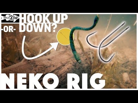 Neko Rig: The Ideal Technique for Wary Bass - USAngler