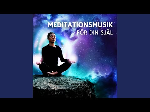 Dag 14: Japansk trädgård