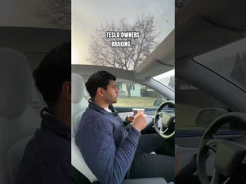 Gas Car vs Tesla Brake...