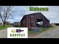 Harvest Host Sheep Farm in Alabama