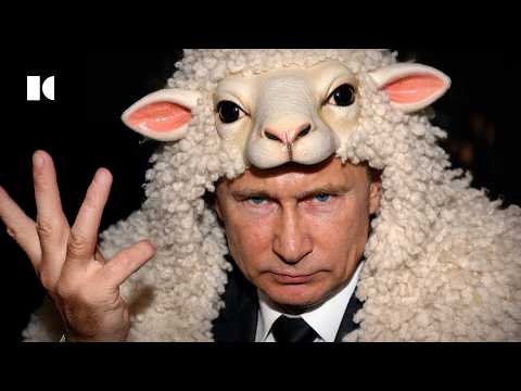 Жестокость россиян. Почему у нас плохо с эмпатией, а люди живут принципу «человек человеку волк»?