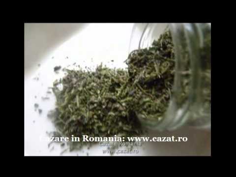 Cazare Manicesti, Arges - Cazat.ro