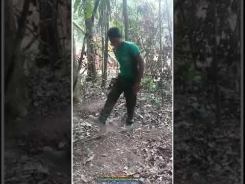 Treinando Forró Pra Quando Acabar A Quarentena