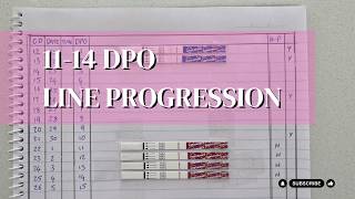 11-14 DPO LINE PROGRESSION | TTC | JessssLife