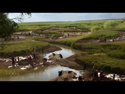 Die Friesen - Die Bergischen des Nordens um das Jahr Null.