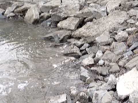 Paradisul Verde Iasi