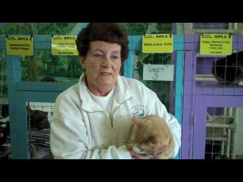 Mary Lee - LakeCountrySPCA.com