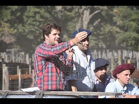 Resumen del remate de Martín G. Lalor - Jueves 14 de marzo de 2019 - B. Juárez