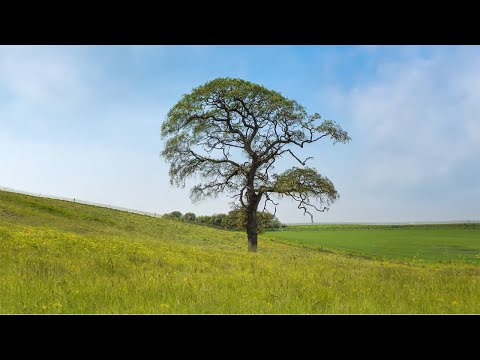 Ressignificar - Vídeo final de ano