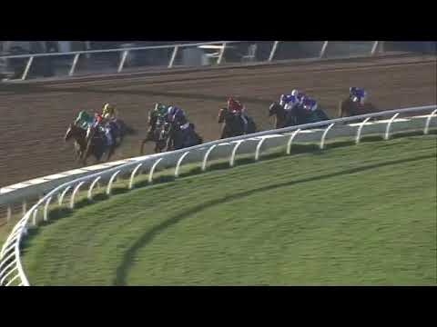 2021 DELMAR Breeders' Cup Distaff