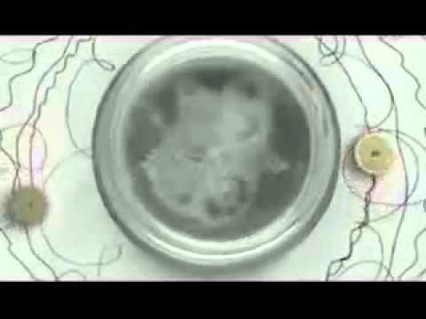 THE HUMAN LEAGUE - Being Boiled [Official Video in HD]